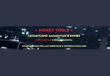MONEY TOOLS. Гигантский заработок в бурже - Богард 2017 слив