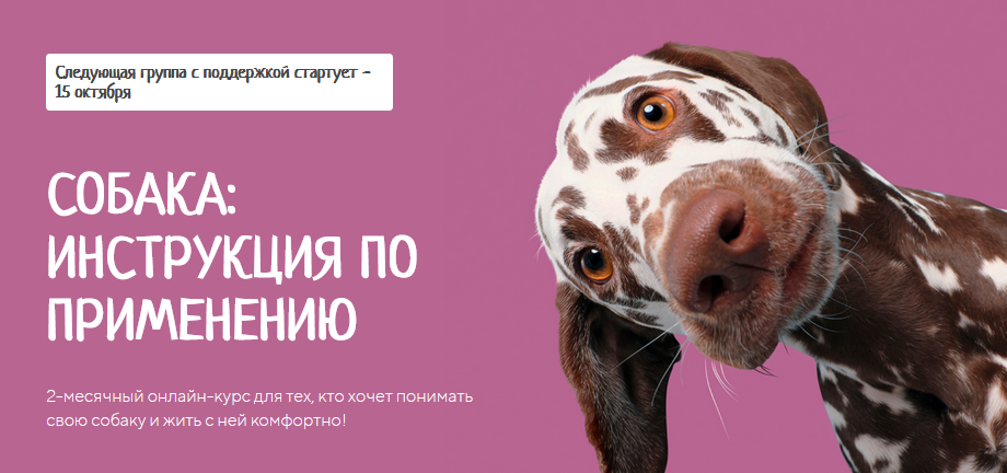 kinologschool Антонина Зимарева - Собака: инструкция по применению 2021 слив курса