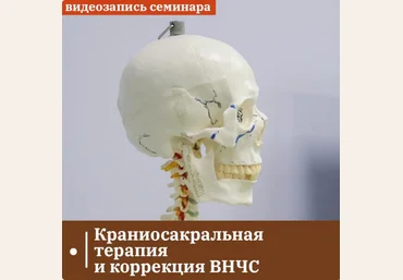Григорий Крутов Краниосакральная терапия и коррекция ВНЧС 2024 слив