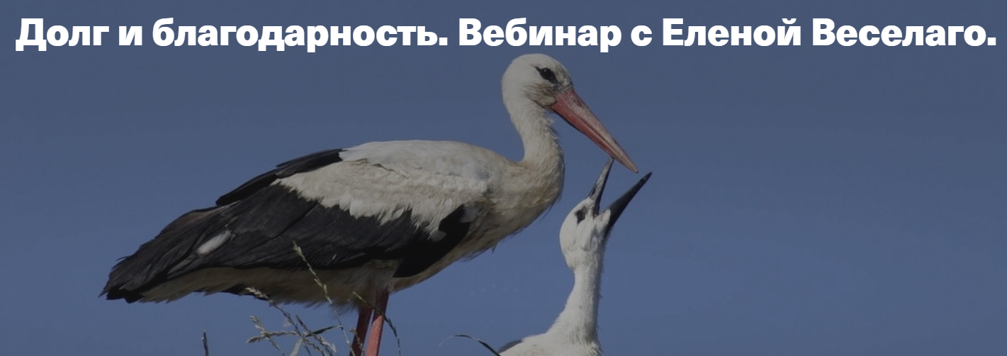 Елена Веселаго Долг и благодарность 2020 слив курса