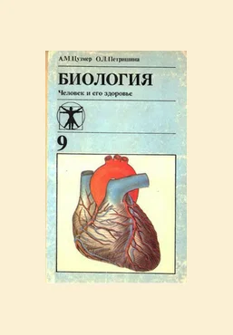 Архэ Антон Захаров ― Что физиологи знают про еду? Полезная и вредная еда, как следить за рационом. скачать слив