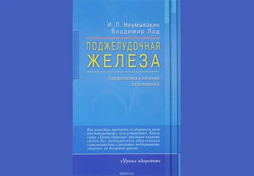 Поджелудочная железа. Профилактика и лечение заболеваний слив