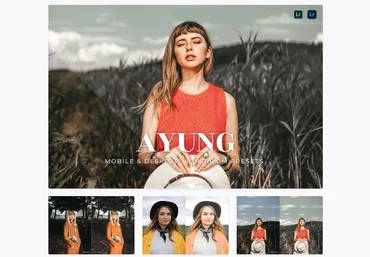 Elements.Envato Ayung Mobile and Desktop Lightroom Presets 2021 слив