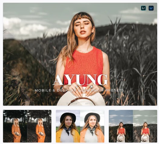 Elements.Envato Ayung Mobile and Desktop Lightroom Presets 2021 слив курса