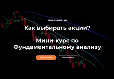 Светлана Шишкина Мини-курс по фундаментальному анализу 2021 слив
