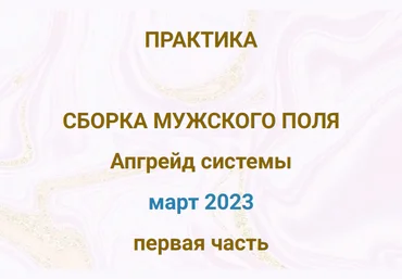 Эмилия Франк Практика «Сборка мужского поля. Апгрейд системы» 2023 слив
