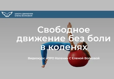 Елена Волкова Про колени. Свободное движение без боли в коленях 2022 слив