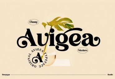Creativefabrica Avigea Font 2021 слив