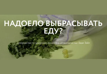 Таша Тейл Руководство по хранению продуктов 2021 слив