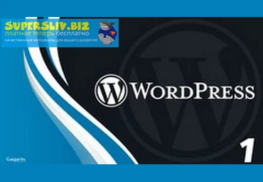 Udemy WordPress: Разработка стартовой темы с самого нуля. Ступень 1 2019 слив