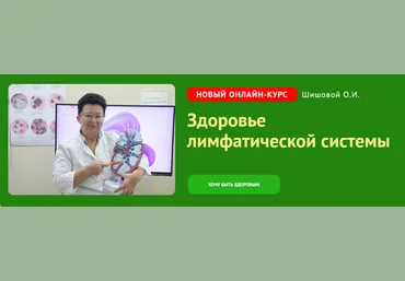 Ольга Шишова Здоровье лимфатической системы 2023 слив