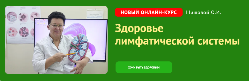 Ольга Шишова Здоровье лимфатической системы 2023 слив курса