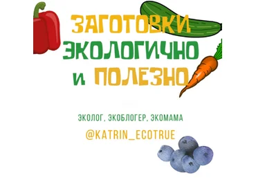 Екатерина katrin_ecotrue Заготовки экологично и полезно 2022 слив