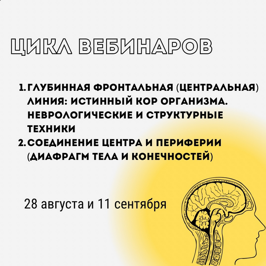 Александр Волоткевич Глубинная фронтальная линия: истинный КОР организма 2024 слив курса