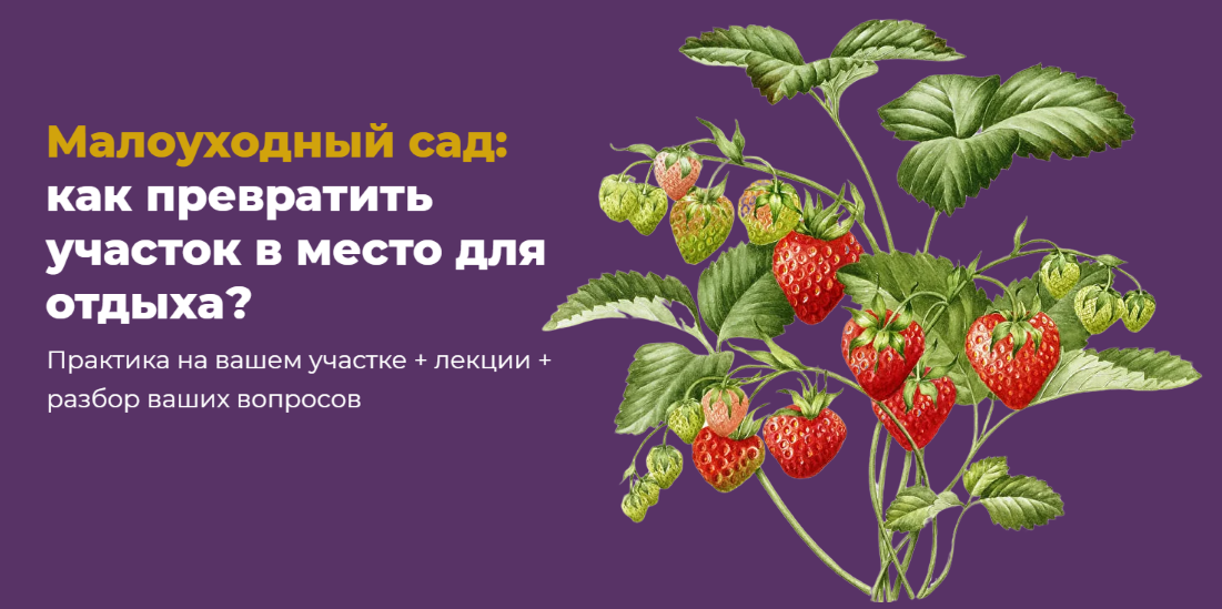 Школа Сада Мария Шашкова ― Малоуходный сад: как превратить участок в место для отдыха? 2025 слив курса