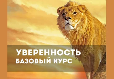 Уверенность, базовый курс - Смирнов слив