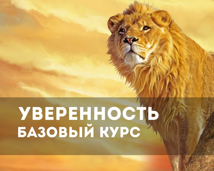 Уверенность, базовый курс - Смирнов слив курса