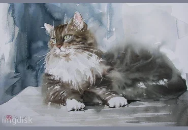 Рисуем животных - Школа рисунка и живописи слив