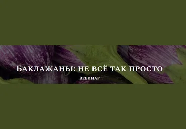Алексей Онегин Баклажаны: не всё так просто 2021 слив
