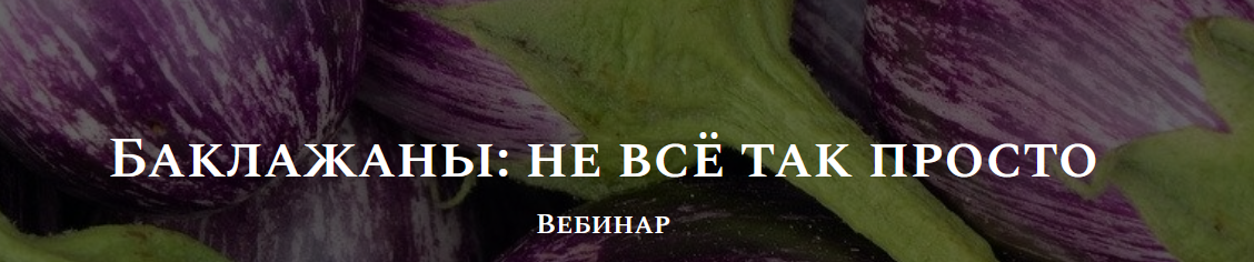 Алексей Онегин Баклажаны: не всё так просто 2021 слив курса