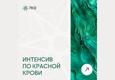 Анастасия Семко Интенсив по красной крови 2025 слив
