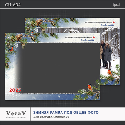 PSD VeraV ― Набор CU-604. Зимняя рамка под общее фото 2024 слив курса