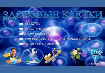 Здоровые клетки - Янгаев 2015 слив
