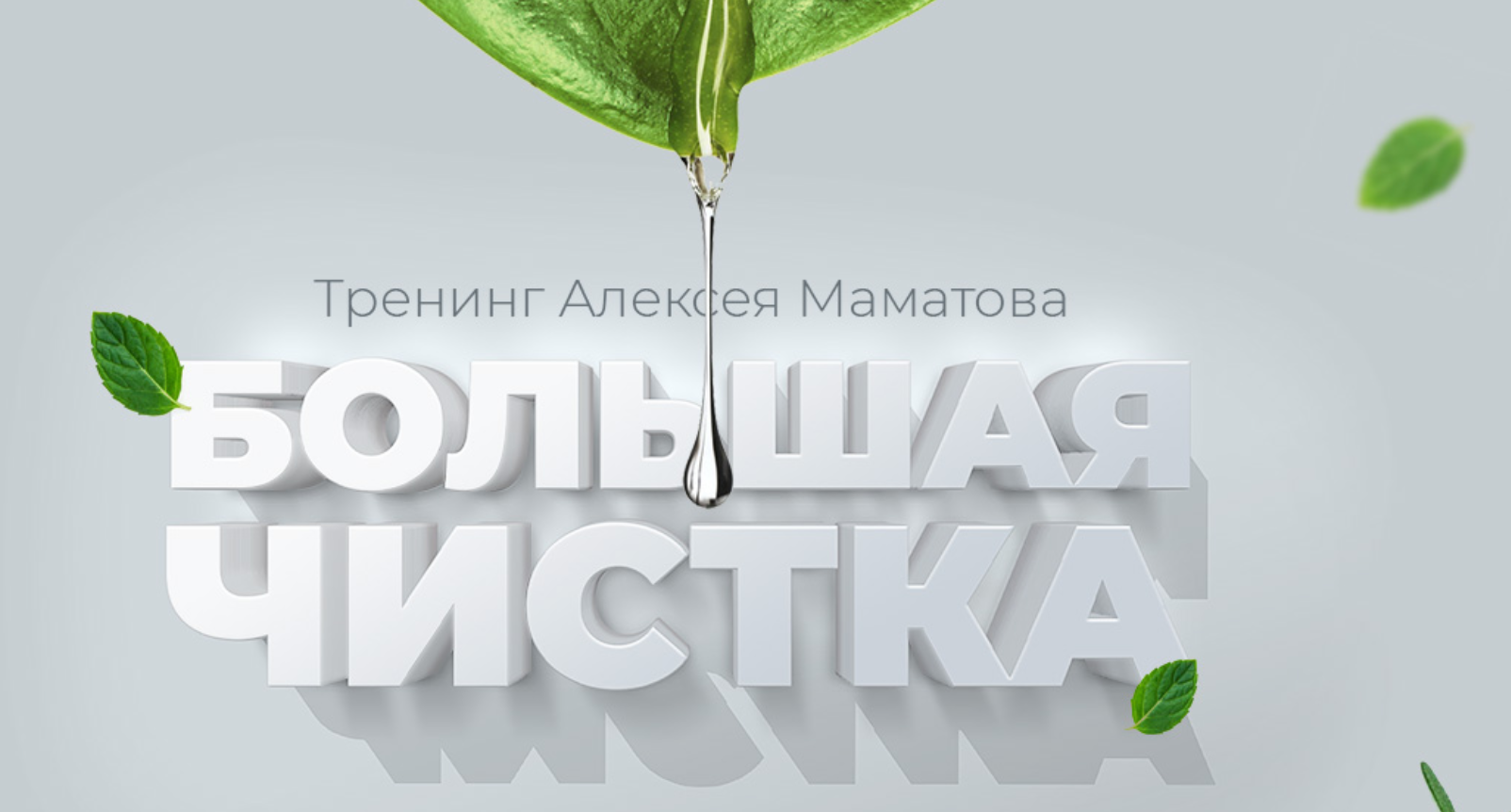 Алексей Маматов Тренинг Большая чистка 2018 слив курса