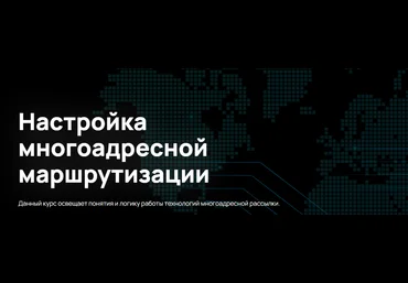 n4e.ru Алексей Гусев — Настройка многоадресной маршрутизации 2024 слив