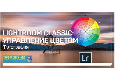 Дмитрий Шатров Lightroom Classic: управление цветом 2020 слив
