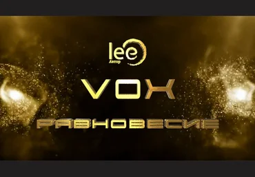 Lee Вебинар «Vox. Равновесие» 2024 слив