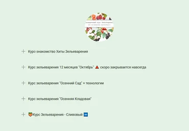 Ирина Таро dom_ulitki Курс Зельеварения - Сливовый. Новый! 2021 слив