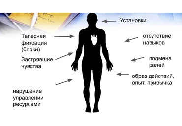 Мария Ковалева Метод Универсальных Трансформаций. 2021 слив