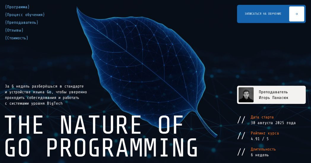 Игорь Панасюк The Nature of Concurrency - Курс по многопоточному программированию 2025 слив курса