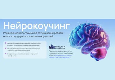 УОМ Андрей Гострый, Дмитрий Занин, Ирина Мальцева ― Нейрокоуч 1 ступень, модуль 5 2024 слив