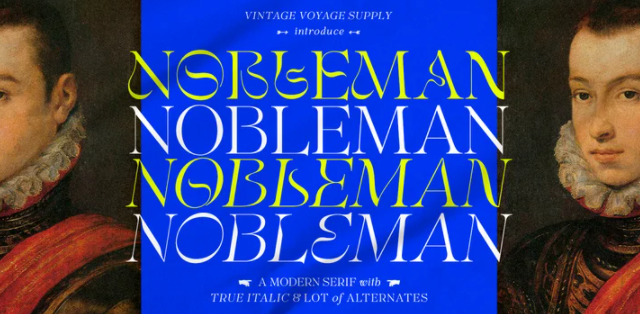 Myfonts VVS Nobleman Font 2021 слив курса
