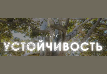 Александра Алексеева Устойчивость 2023 слив