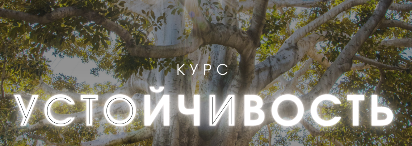 Александра Алексеева Устойчивость 2023 слив курса