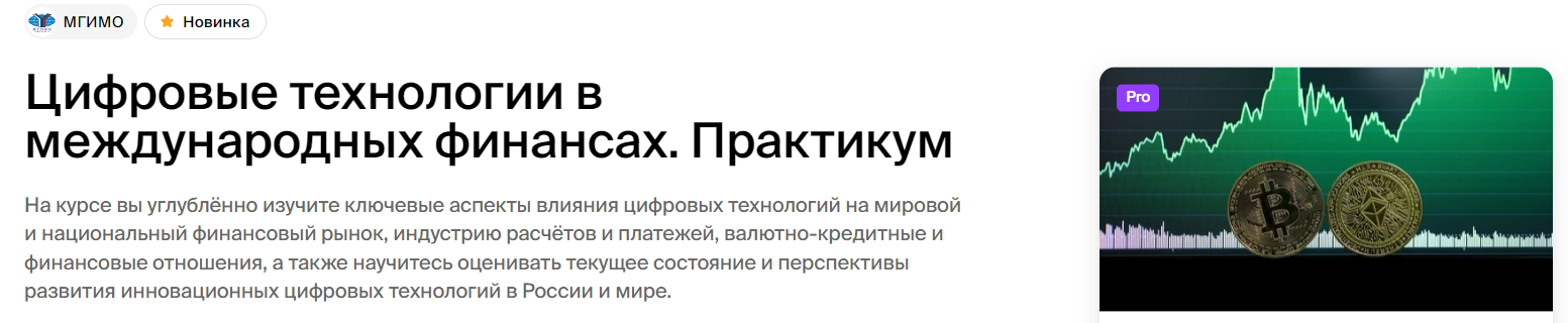 МГИМО Светлана Перцева ― Цифровые технологии в международных финансах. Практикум 2024 слив курса