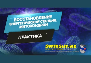 Евгения Гинзбург Восстановление Энергетической станции. Митохондрии 2024 слив
