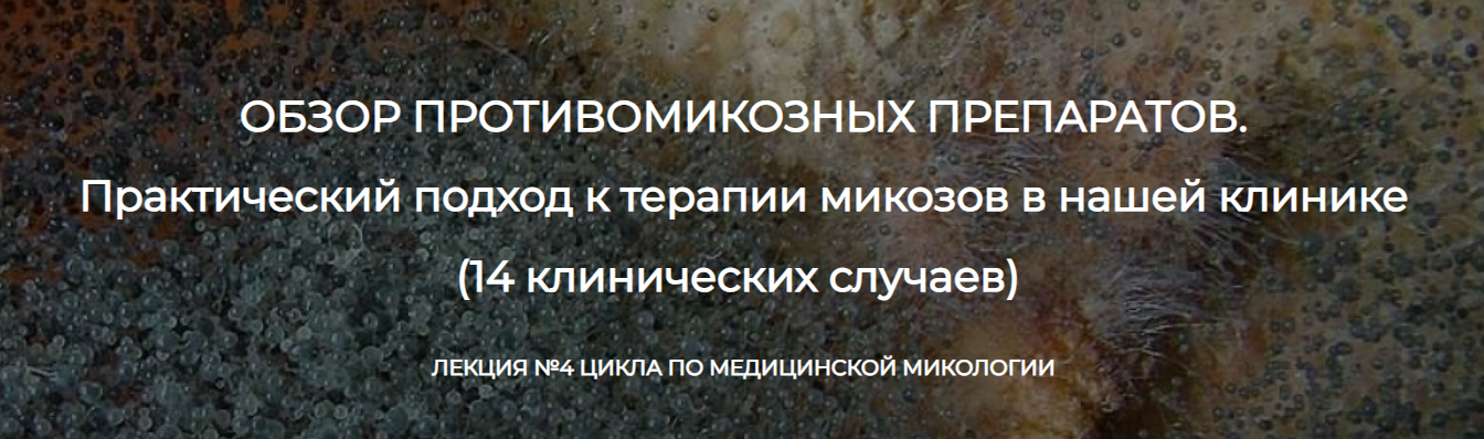 Detoxkafa Игорь Кауфман ― Лекция №4 цикла по медицинской микологии. Обзор противомикозных препарат слив курса