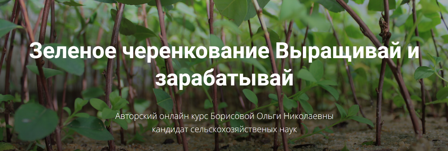 Питомник растений «Глория» Ольга Борисова ― Зеленое черенкование. Выращивай и зарабатывай 2025 слив курса