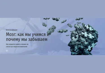 Вячеслав Дубынин Прямая речь Мозг: как мы учимся и почему мы забываем 2022 слив