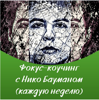 Нико Бауман Материализация роскошной жизни 2018 слив курса