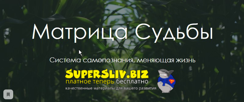 Юлия Богацкая Матрица Судьбы 2019 слив курса
