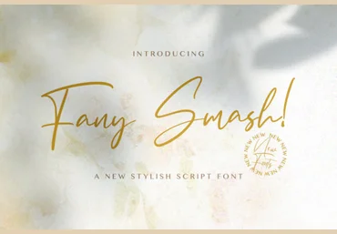 Creativefabrica Fany Smash Font слив