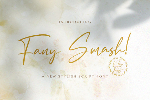 Creativefabrica Fany Smash Font слив курса