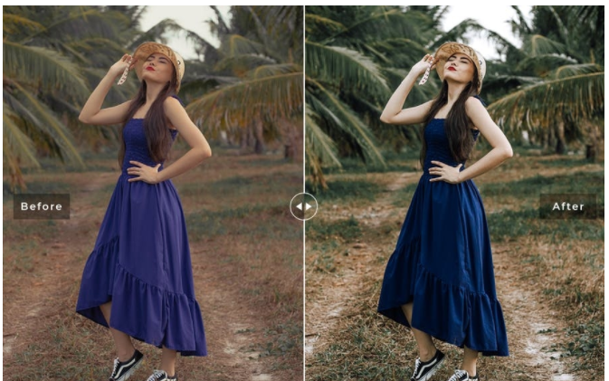 DesignBundles Wasabi Mobile & Desktop Lightroom Presets 2021 слив курса