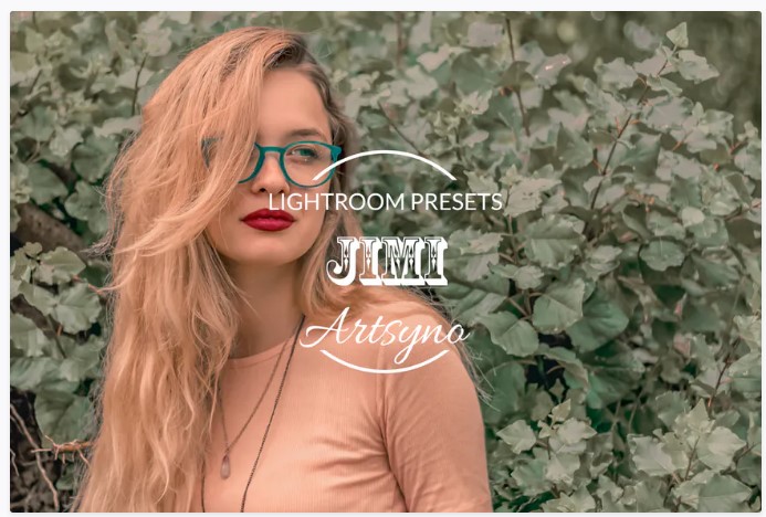 Elements.Envato Jimi Lightroom Presets Dekstop and Mobile 2021 слив курса