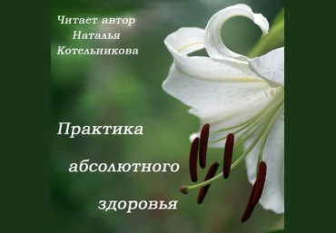 Практика абсолютного здоровья - Котельникова 2015 слив